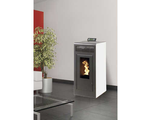 Pelletkaminofen im Wohnzimmer mit Pflanze und Couch