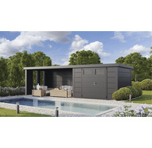 Garten Szene mit Pool, Lounge Möbeln und modernem Gerätehaus