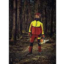 Forstarbeiter mit Schutzkleidung und Kettensäge im Wald