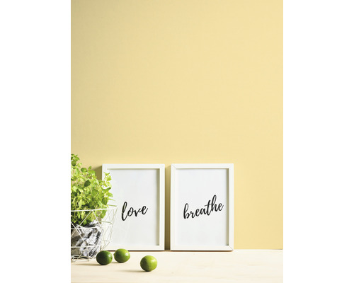 Dekorative Szene mit zwei gerahmten Kunstdrucken, Topfpflanze und Limetten vor einer farbigen Wand