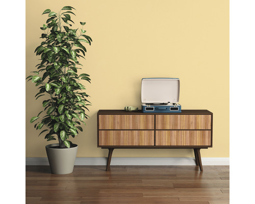 Wohnzimmer-Szene mit Kommode, Zimmerpflanze und Plattenspieler