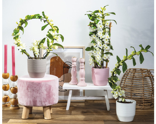 Dekorative Szene mit Pflanzen, Kerzen und abstrakter Kunst