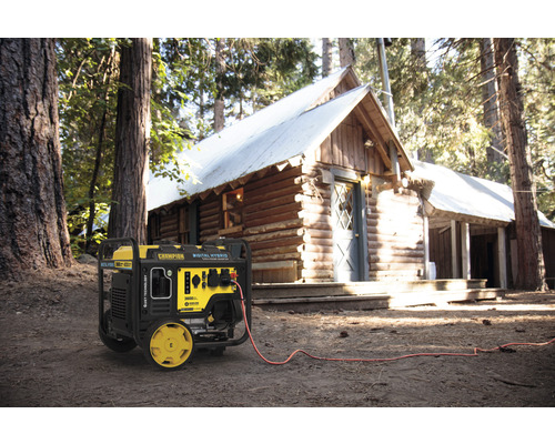 Champion Stromerzeuger vor einem Blockhaus im Wald