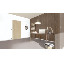Helles Arbeitszimmer mit Schreibtisch, Stuhl, Regal und Tür