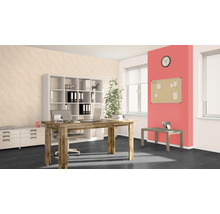 Helles Büro mit Schreibtisch, Regal und Dekorationen