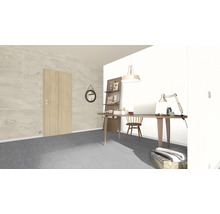 Büro mit Schreibtisch, Stuhl, Lampe, Regalen und Tür