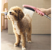 Hund wird mit einer Bürstenbrause gebadet