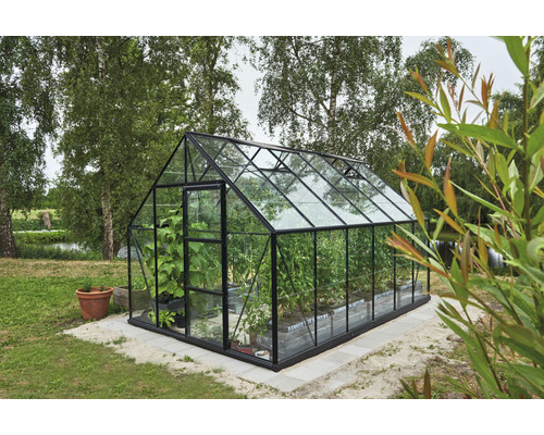 Gewächshaus mit Pflanzen im Garten