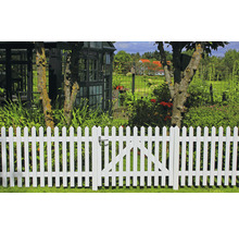 Weiße Gartenzaun mit Tor und Gartenhütte im Hintergrund