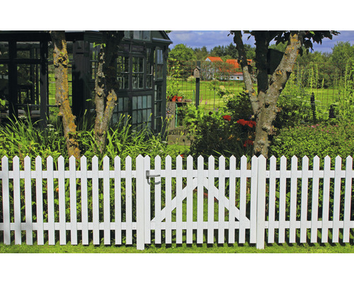 Weiße Gartenzaun mit Tor und Gartenhütte im Hintergrund