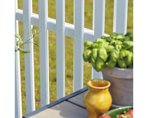 Nahaufnahme eines Gartenzauns mit Pflanzen und Tischdekoration