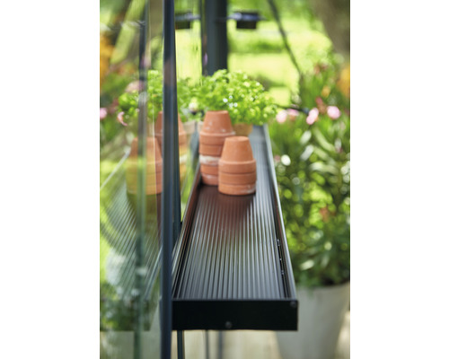 Ablage mit Terrakotta-Töpfen im Gewächshaus