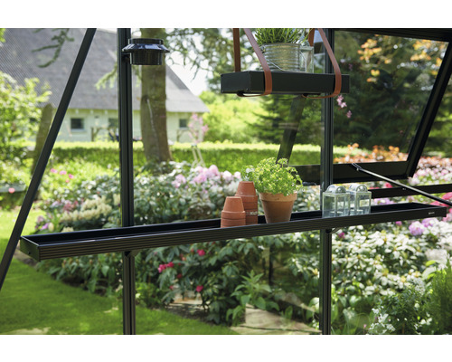 Innenansicht eines Gewächshauses mit Regalen und Pflanzen