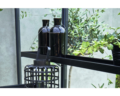 Dekorative Szene mit Laterne, Flaschen und Pflanzen im Regal