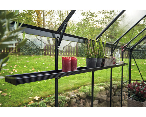 Gewächshaus Innenraum mit Regal, Pflanzen und Dekoration