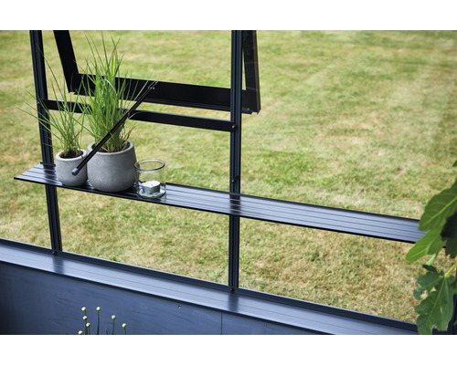 Detailansicht eines Gewächshauses mit Regalboden, Pflanzen und Kerze