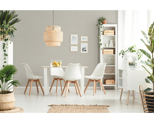 Esszimmer mit Esstisch, Stühlen, Regal, Lampe und Zimmerpflanzen für eine helle und freundliche Atmosphäre.