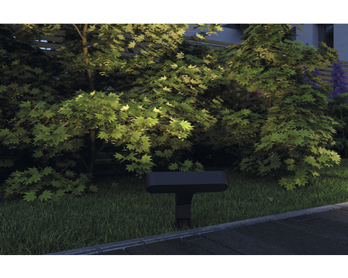 Garten mit Bäumen und Außenleuchte