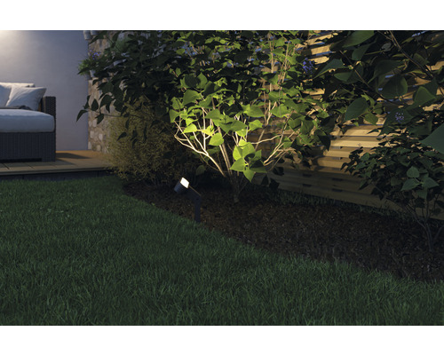 Beleuchteter Garten mit Rasen, Strauch und Außenleuchte