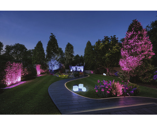 Beleuchteter Gartenweg mit verschiedenen Lichtquellen und Pflanzen