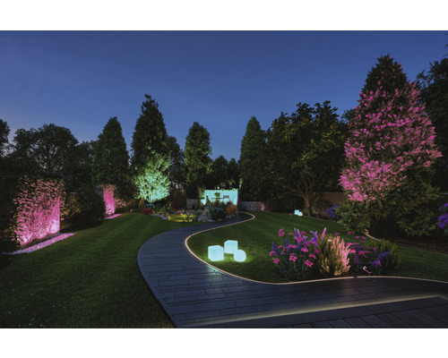 Beleuchteter Garten mit Weg, Bäumen und dekorativer Beleuchtung in der Dämmerung.