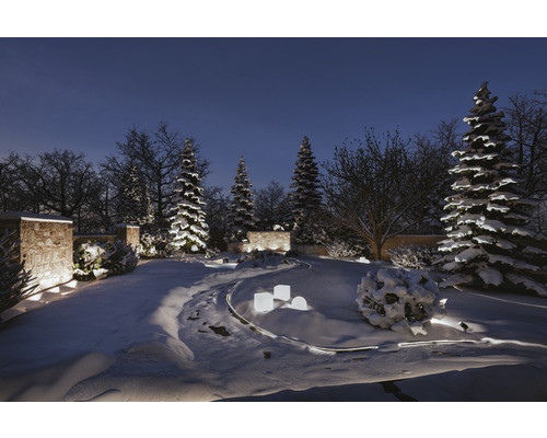 Winterlandschaft mit schneebedeckten Bäumen und beleuchtetem Gartenweg bei Nacht