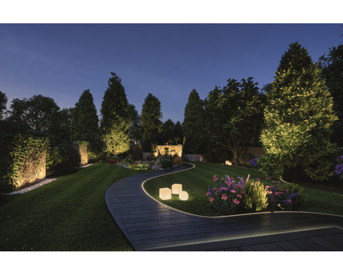 Beleuchteter Garten mit Rasen, Bäumen und gewundenem Weg