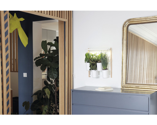 Helles Interieur mit Kommode, Wandbepflanzung und Spiegel