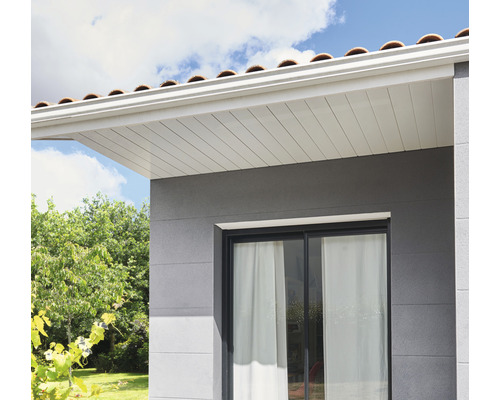 Außenansicht eines Hauses mit Dach und Fassade