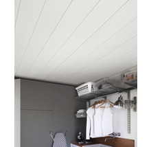 Decke mit Paneelen in einem Waschraum mit Schränken und Regalen