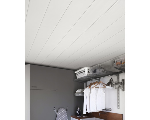 Decke mit Paneelen in einem Waschraum mit Schränken und Regalen