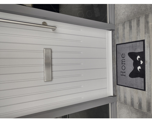 Moderne Haustür mit Briefkasten und Fußmatte mit Katzenmotiv