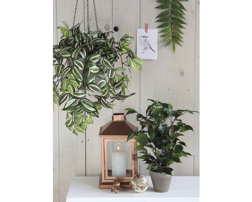 Dekorative Szene mit Hängepflanze, Laterne und Zimmerpflanze auf einem Tisch.