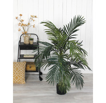 Dekorative Zimmerpflanze in einem Topf neben einem Regal mit Dekorationen