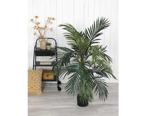 Dekorative Zimmerpflanze in einem Topf neben einem Regal mit Dekorationen