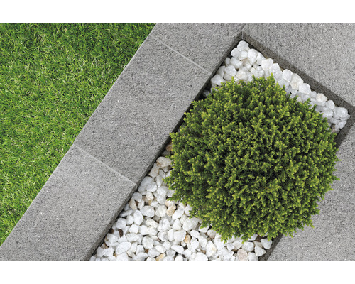 Garten mit Rasenfläche, Pflastersteinen, Zierkies und Strauch