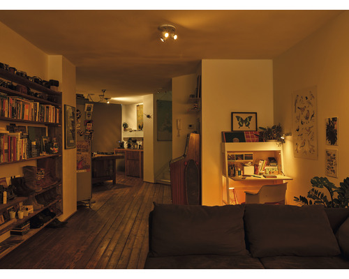 Wohnzimmer mit Bücherregal, Schreibtisch und Blick in die Küche