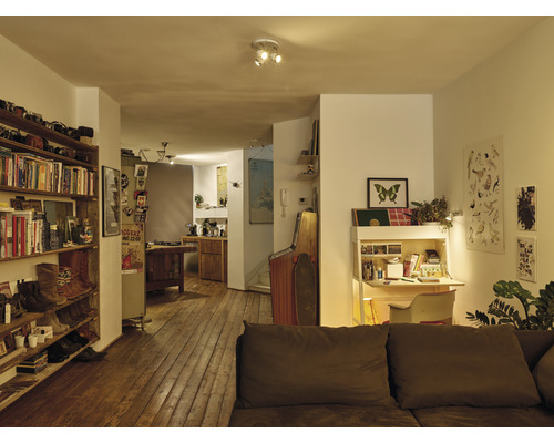Wohnraum mit Holzfußboden, Regal, Schreibtisch und Deckenleuchte