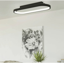 Ovale Deckenleuchte im modernen Wohnraum