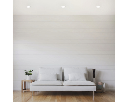 Heller Wohnraum mit Sofa, Zimmerpflanze und Deckeneinbaustrahlern