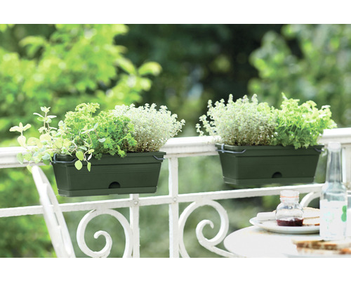 Zwei grüne Balkonkästen mit Kräutern hängen an einem weißen Balkongeländer.