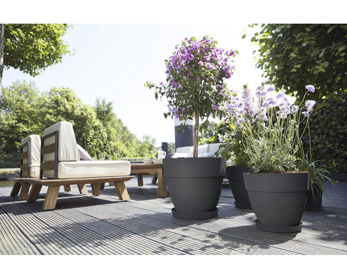 Terrasse mit Gartenmöbeln und Pflanzen in Blumentöpfen