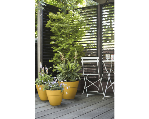 Terrasse mit Pflanzen in Pflanzgefäßen, Gartenmöbeln und Sichtschutz