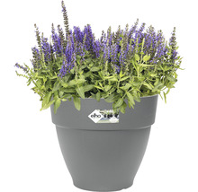 Blumenkasten elho Vibia Campana 35 Kunststoff Ø 35 cm H 29,7 cm anthrazit