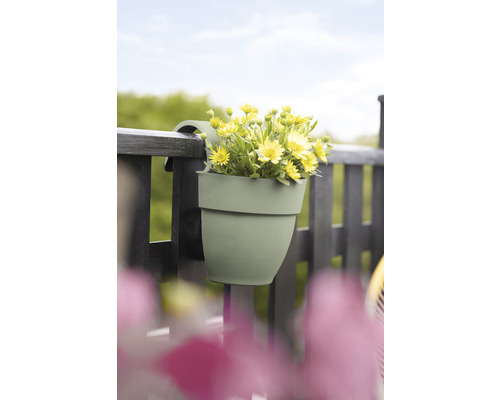 Blumentopf zum Einhängen mit gelben Blumen am Balkongeländer