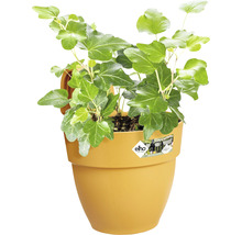 Hängetopf Blumenkasten elho Vibia Campana Kunststoff Ø 20,5 cm H 26,5 cm honig gelb