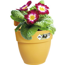 Hängetopf Blumenkasten elho Vibia Campana Kunststoff Ø 20,5 cm H 26,5 cm honig gelb