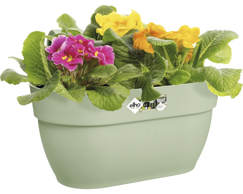 Blumenampel mit bunten Primeln