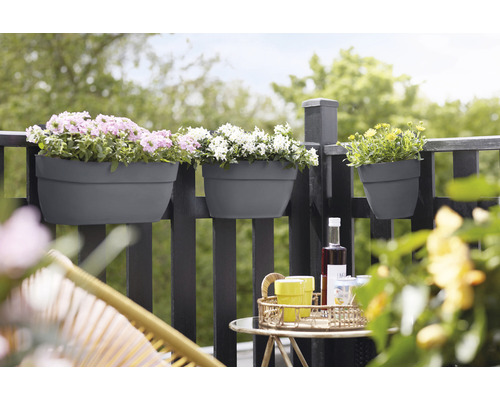 Balkonszene mit Blumenkästen am Geländer und Getränken auf einem Tisch