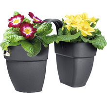 Blumenkasten elho Vibia Campana Flower Twin 21 Kunststoff 21 x 38,4 x 26,5 cm anthrazit